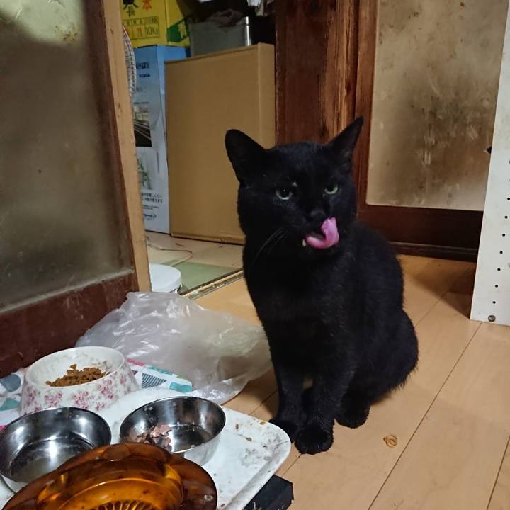 C3949178 6a1c 4a0b 9d35 9ecdd7c14754 1628594967604