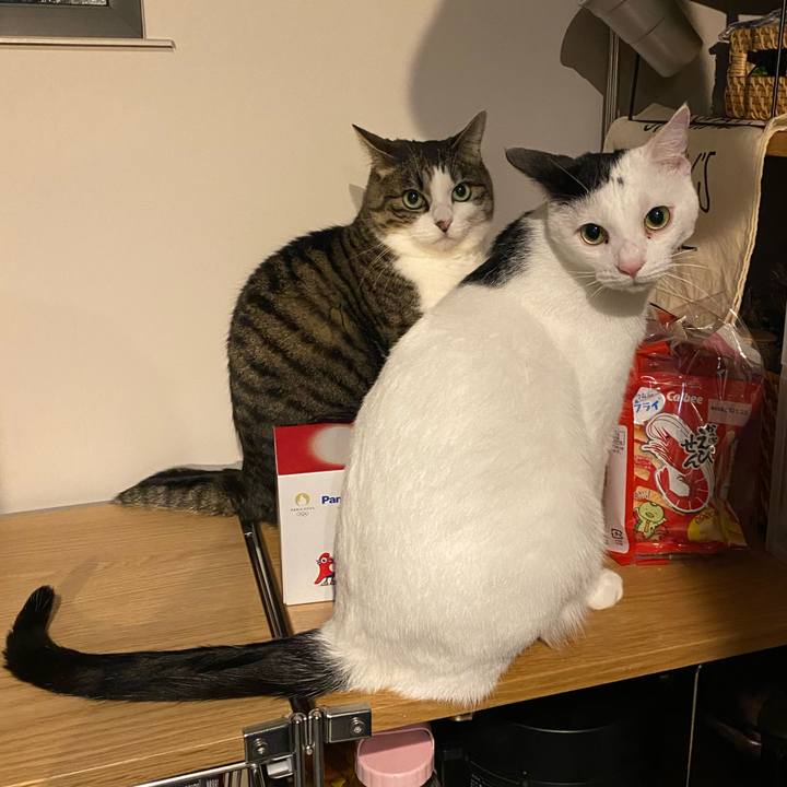 C394ad0c c823 4624 a9bd 9152d417c35d 1733107365424