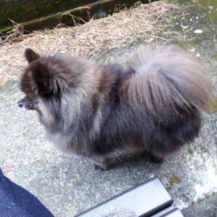 C394b38f 9dbd 4cc8 8bf0 716fda2921f6 1520288029744