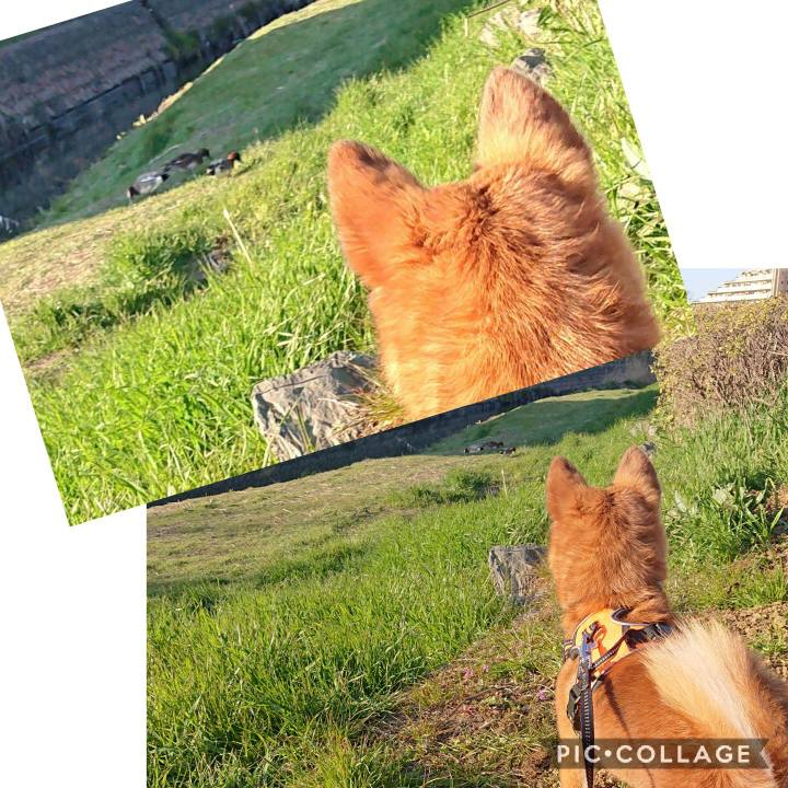 C394e157 4d56 44de a9ee 960761efdd03 1581422473785