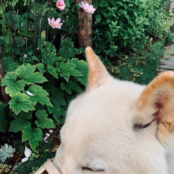 C394f2ba d58c 49b0 a52c 0b0ab1b3daa4 1568584734963