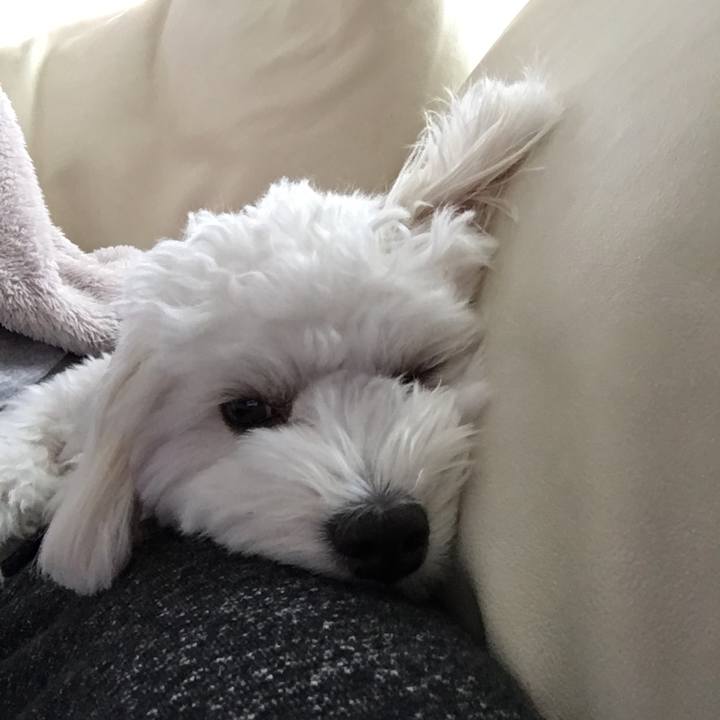 C3950873 35d6 4d86 b376 cb26564ad852 1508714620779