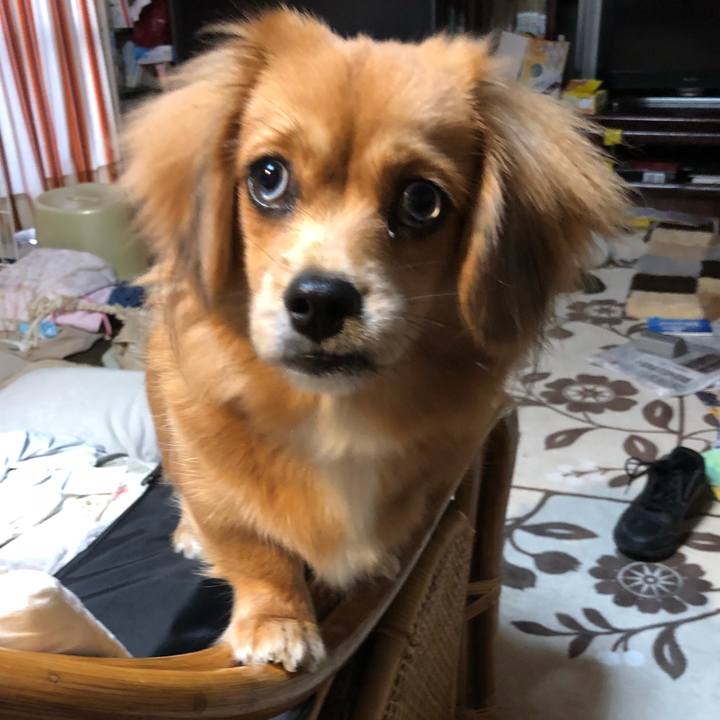 C39513c3 396b 45d2 911f 685d5594ce6d 1508968130249