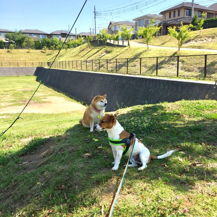 C3952693 1749 4e6f a2cb ec7ebd30e8f2 1558851160663