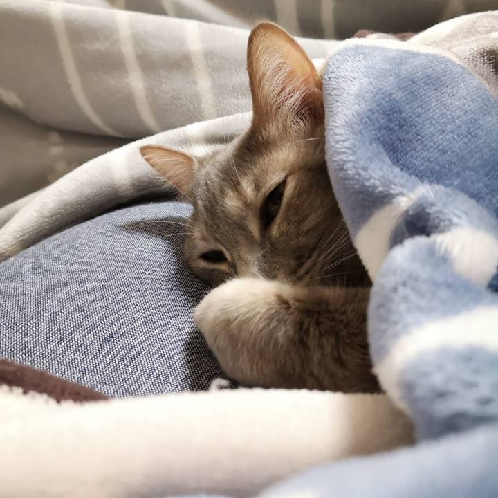 C3953878 bb10 4487 bef8 c3b27ddbd5e1 1582067707059