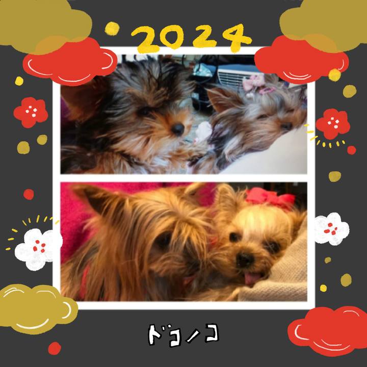 C395567d a9b0 43e4 a2d7 89e0bc98113b 1704079017454