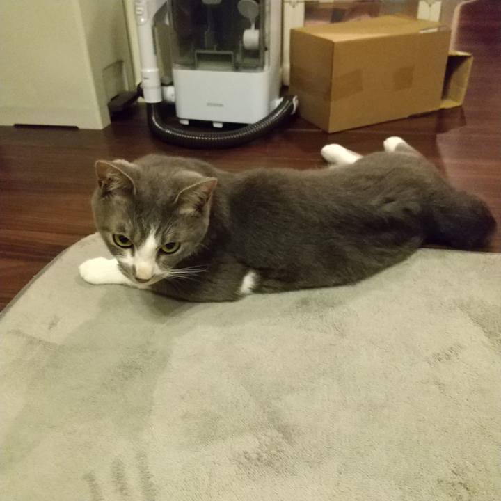 C39557ea d636 477b ba1e 5d7bd90dca24 1621594506435