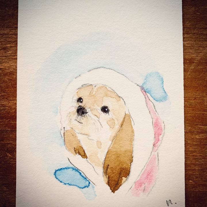 C3955fc3 2a79 4e2d 9d62 36c8c60ad725 1613090455194