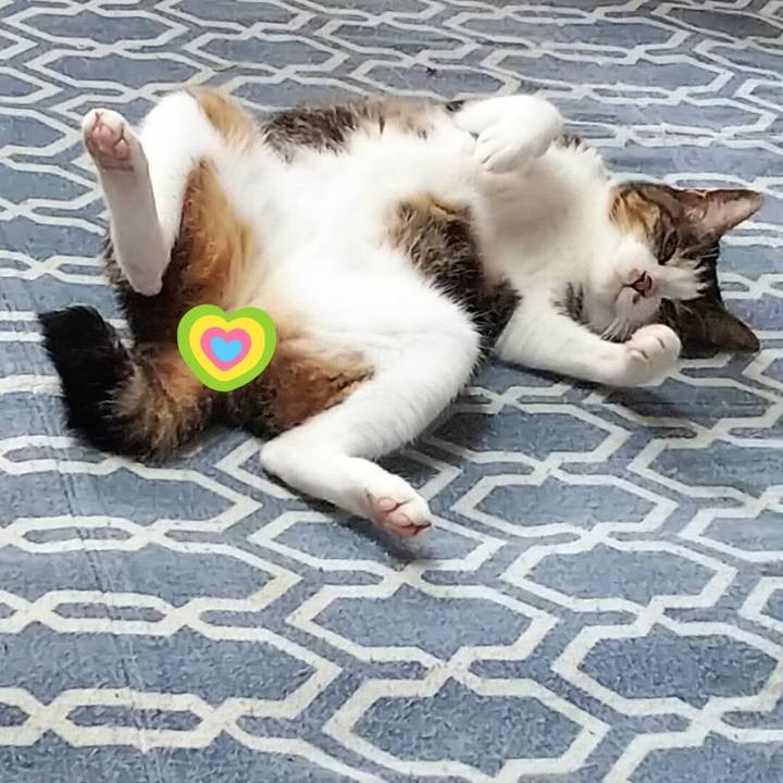 C395763c 4be3 4108 a54f 90348a648f30 1564282500520