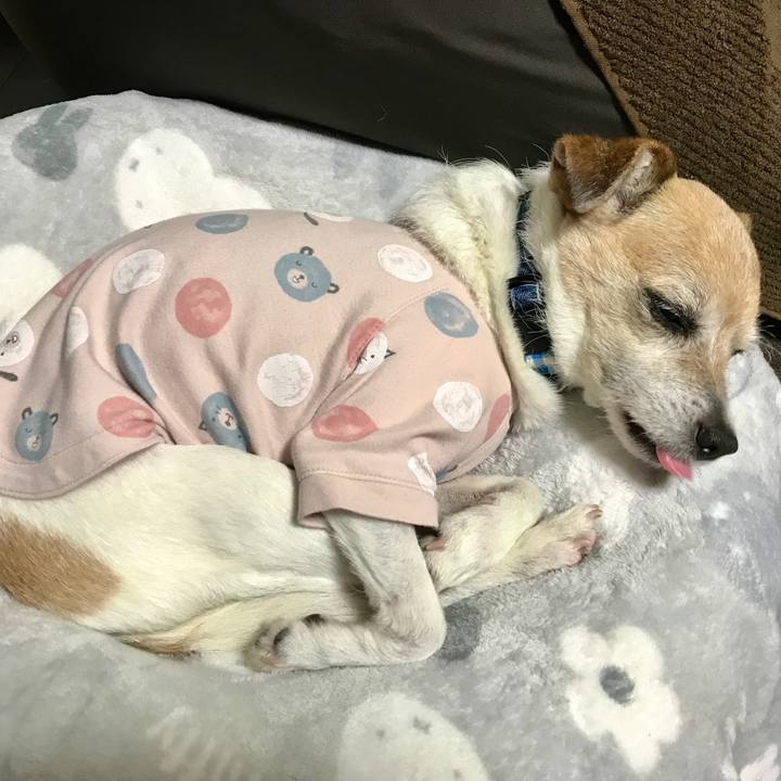 C395d734 4282 414a 8c7d 2a3d10e15db6 1649079008156