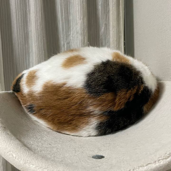 C395d921 ad26 45d3 85b5 0e022e106018 1712156165712