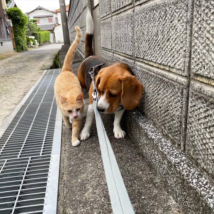 C395e3f1 e53b 447d b1e8 4f380013ff23 1660603571675