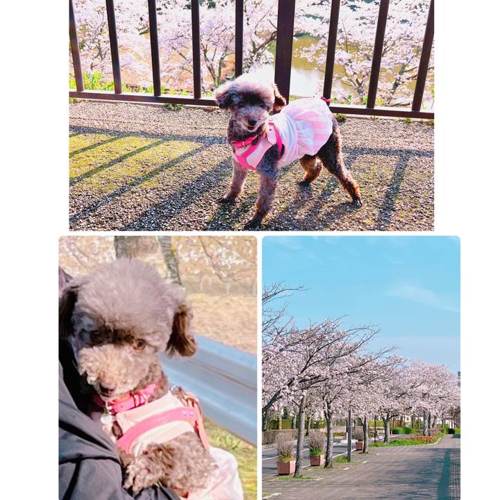 C395f1f8 3ebb 4f73 b4db f74470f7519b 1680076998506