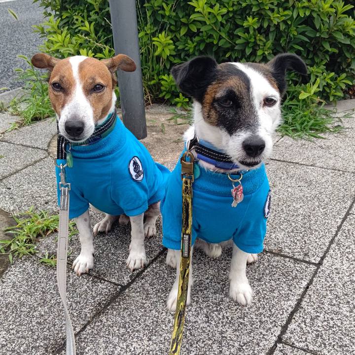 C3960148 2978 4637 8646 5e0a9d15108e 1687475601923