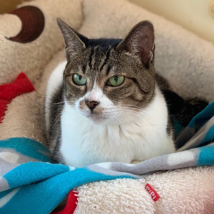 C39610c6 a217 4242 bd53 427e2a9bed4c 1538443044637