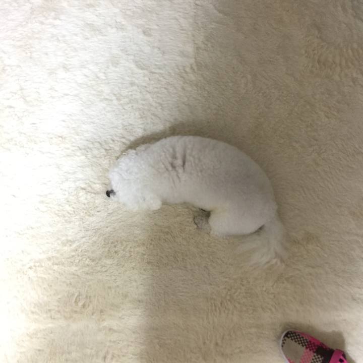 C39622d5 c480 444c ad63 8dffb16613d9 1540719789853