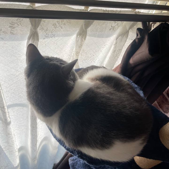 C3963ffd 616c 48fb ada7 62973a20f345 1700607969901