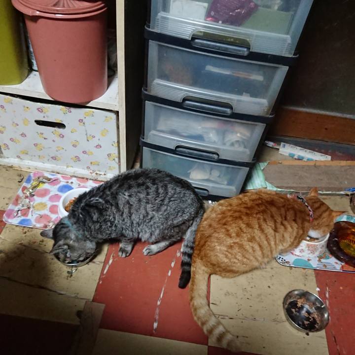 C39672c3 fd94 4565 a488 36e1a7f7bd2c 1576185285587