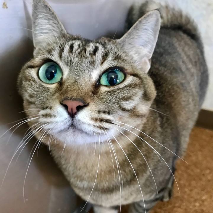 C39688bc ffb3 40e9 aaff 47e6e85e6678 1519273338256