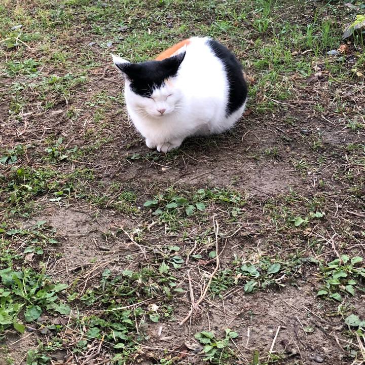 C3968c5e 2806 4564 920a ac1155d29682 1605047723672