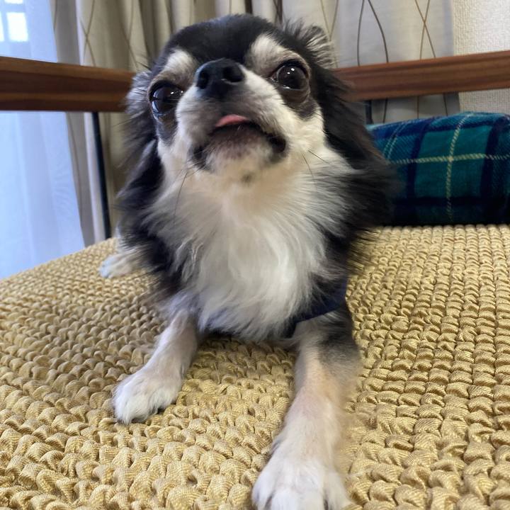 C396c93d 0cee 4502 819c 3889e494162a 1652533959203