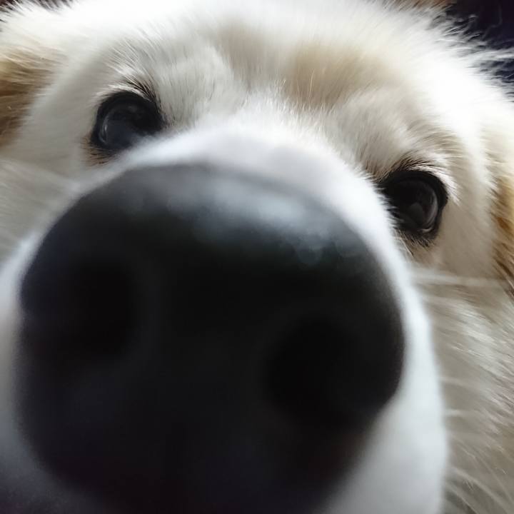 C3972343 d9f0 48fd a476 1d88638b6ccb 1534641271637