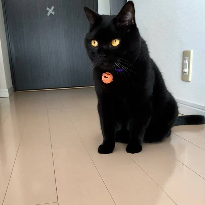 C3972cc9 ff92 46f0 a807 c8dbed50a046 1698735532132