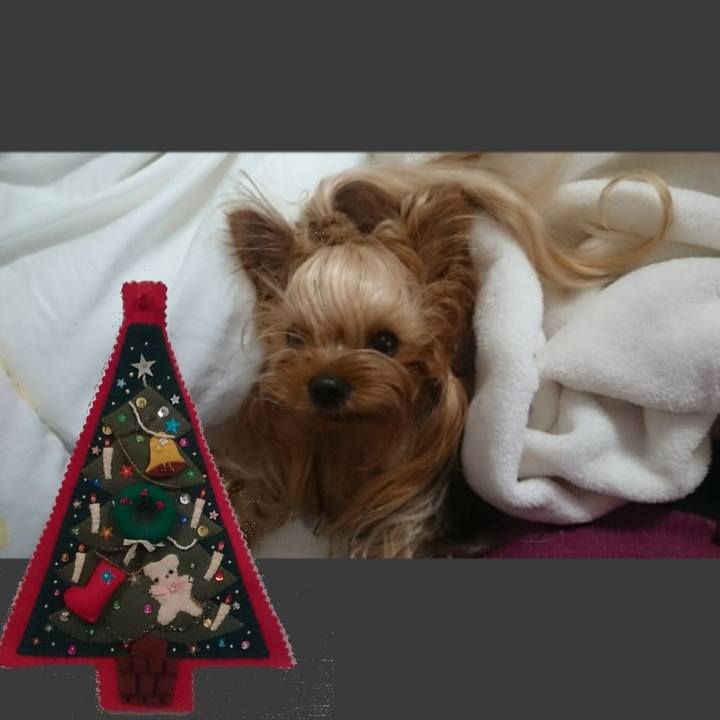 C39757c4 249e 4645 b7a4 873026bd0d6b 1701908301925