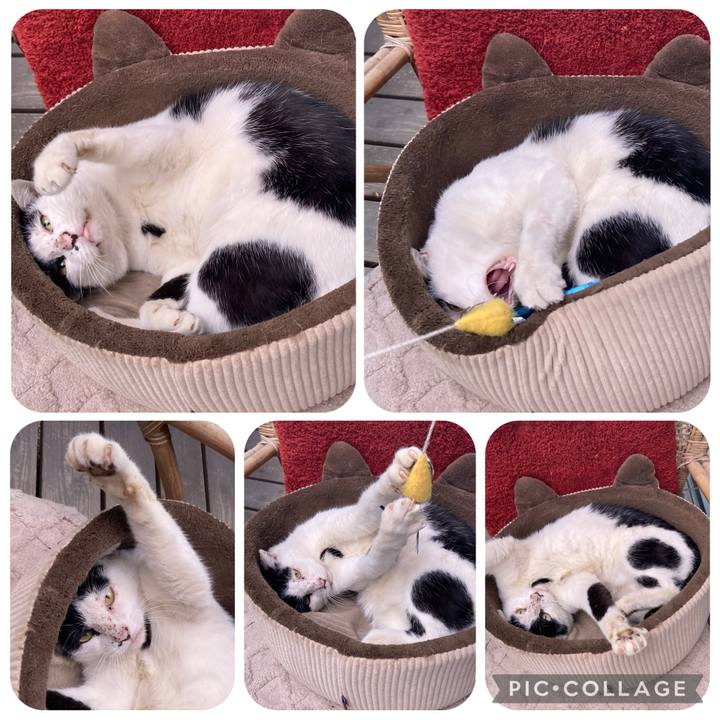 C3976bd0 9ff6 48ca 938e 78628e4853ac 1762050415067