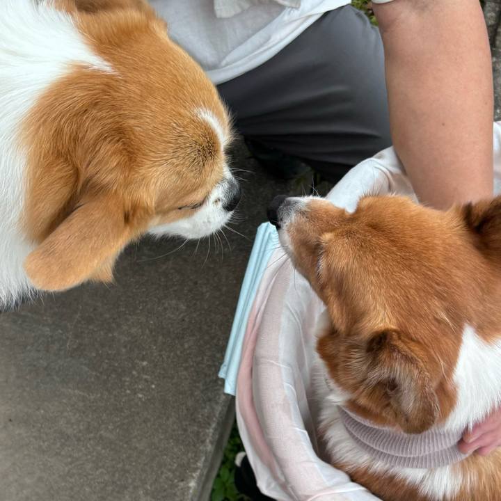 C3979b93 7363 413d 8cdd 3a478f40f917 1758252974273