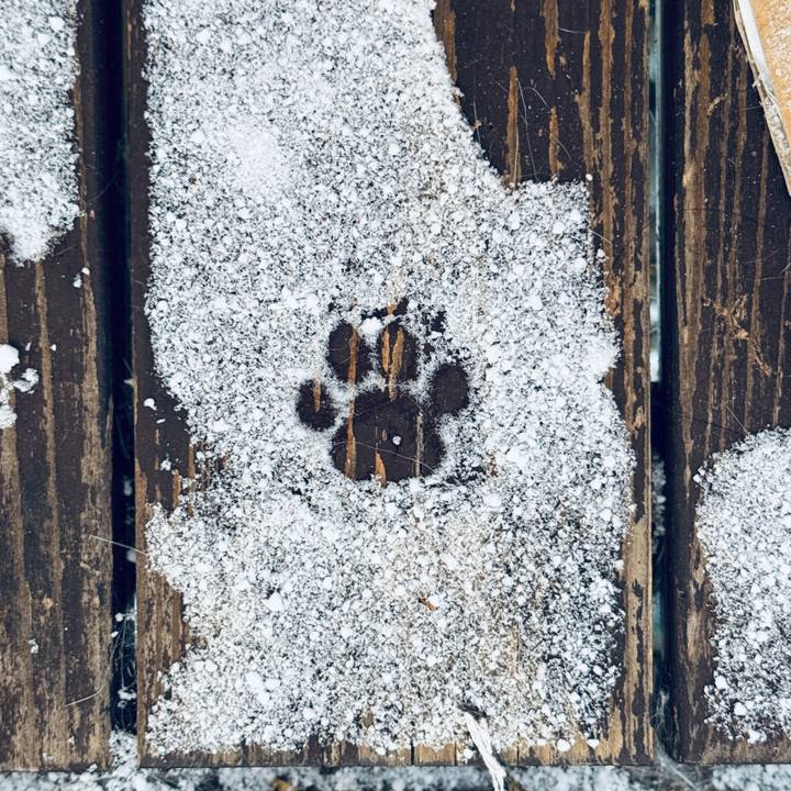 C3981e54 4e0d 4d90 8d1c b3de7ab46491 1733926052003