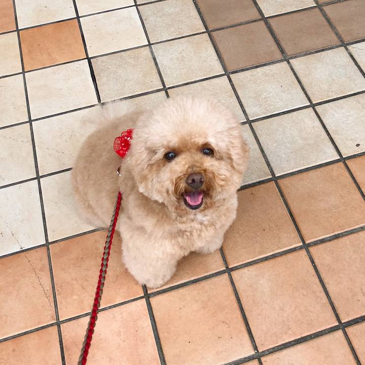 C39823bc a342 4481 a2b9 686d693dd837 1507948602345