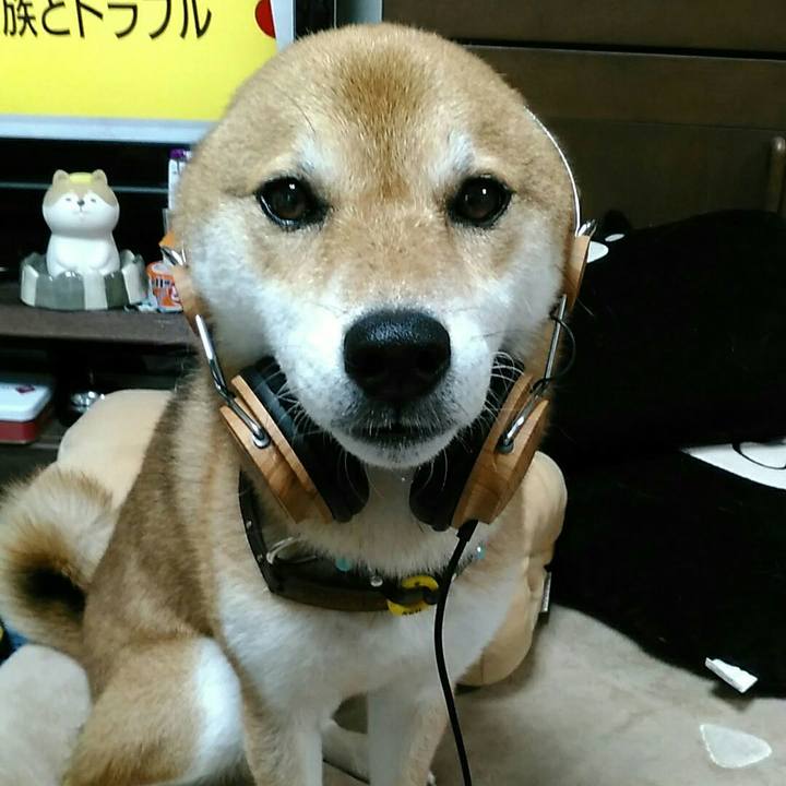 C39835a6 70e3 4f59 bbb3 38a806ab8ea1 1565772322190