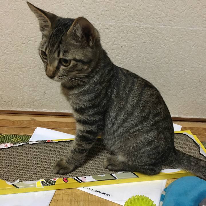 C39847cd 94a1 45fa b57c 4c4fcbb00120 1537535895790