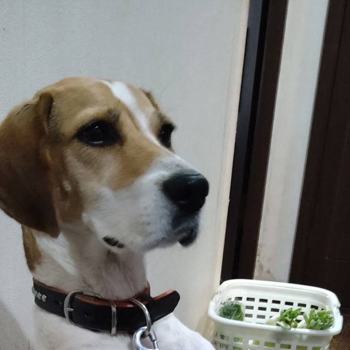 C3988ef1 9097 49b8 98fa 4202e61159db 1636199531104