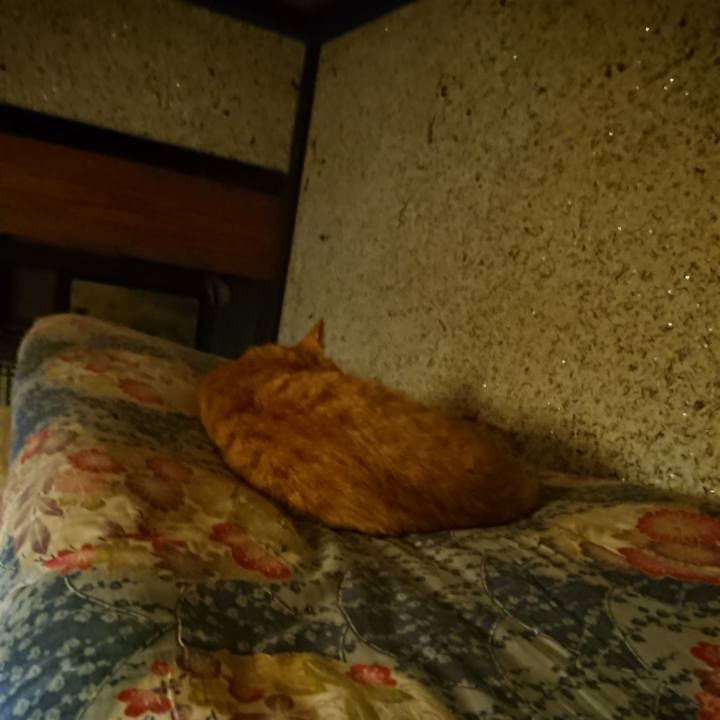 C3989261 10c4 4f8a 9599 fed3486b50a3 1598875641790