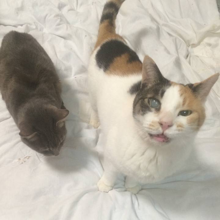 C39892ae b4bd 48b3 ad04 342396a5f747 1552147215922