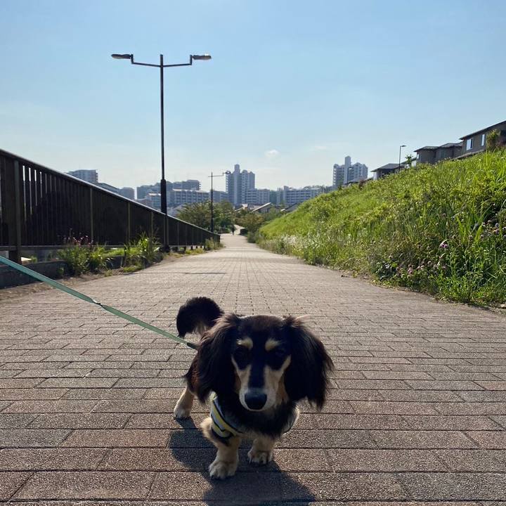 C3989abd 0d11 45cf 9643 c38f90dbcdd3 1683763401645