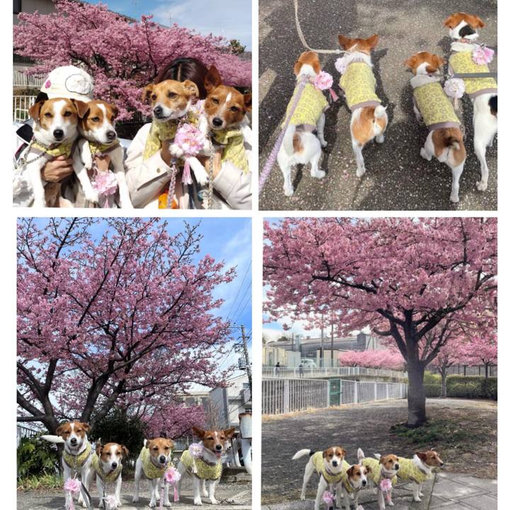 C3989fa0 449d 4e38 829d a1cf53197c16 1772177665866