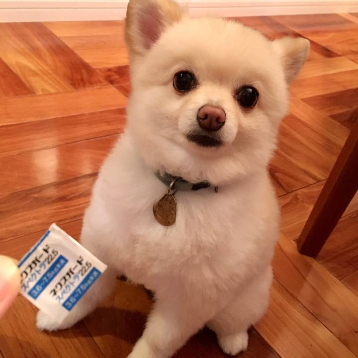 C398cf1d 859e 49bc 9278 44d2579ccae3 1598961580141