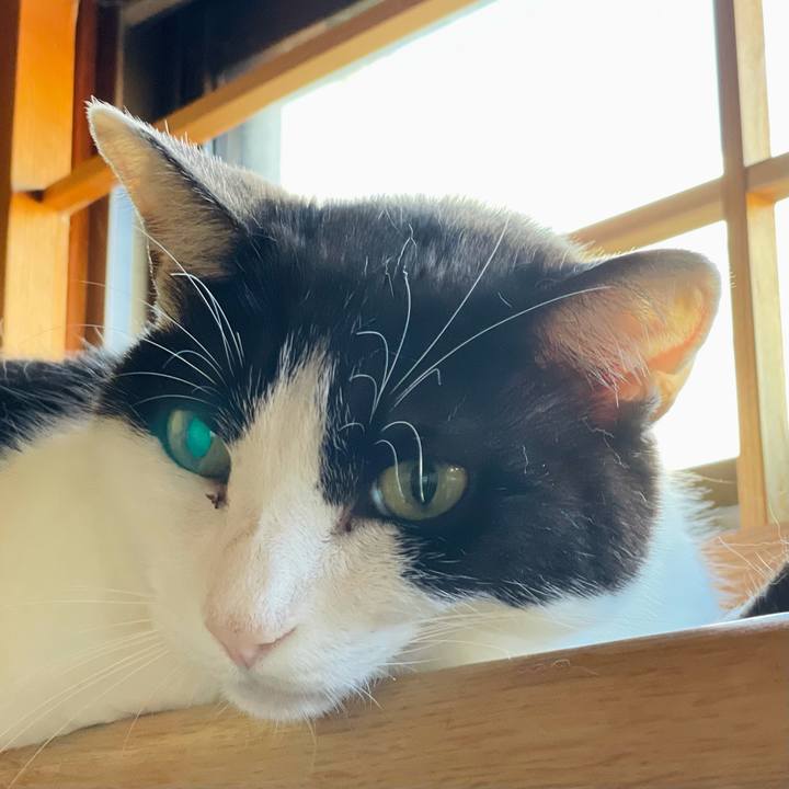 C398f0c8 8981 4be0 889f 0282ca11eb5c 1627093767239