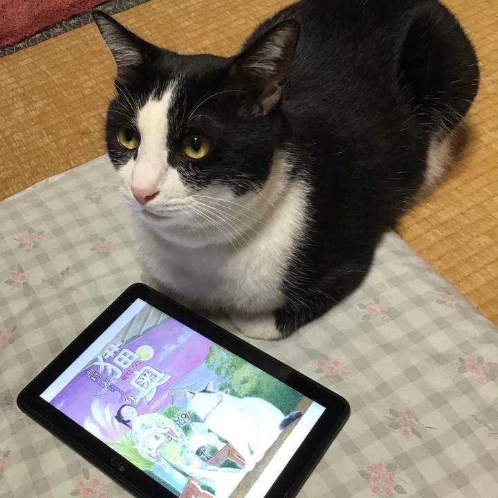 C3991c7b 09f8 49fd 8e3c a0c87455d3a0 1724316333117