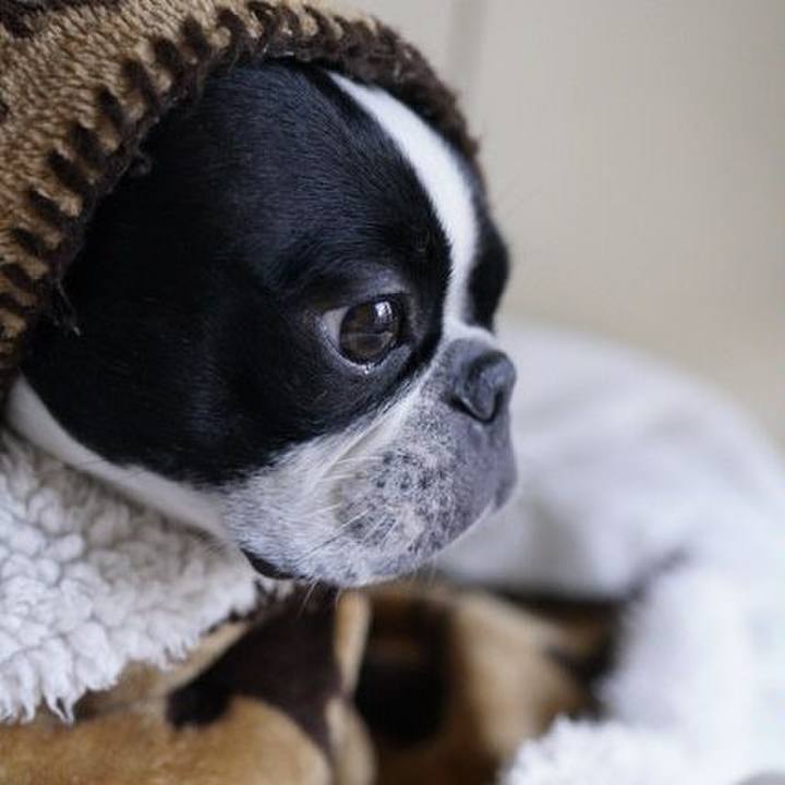 C3991f55 fffc 4498 8558 d6c3bf57871e 1544845073994