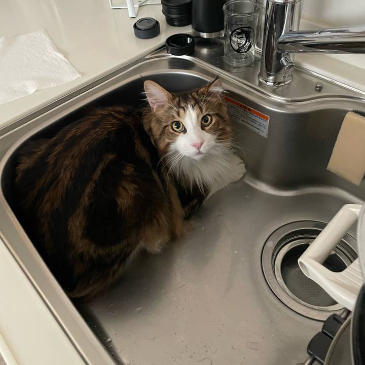 C3996a85 d0bd 4720 9f71 8bfed5531b71 1655841483038