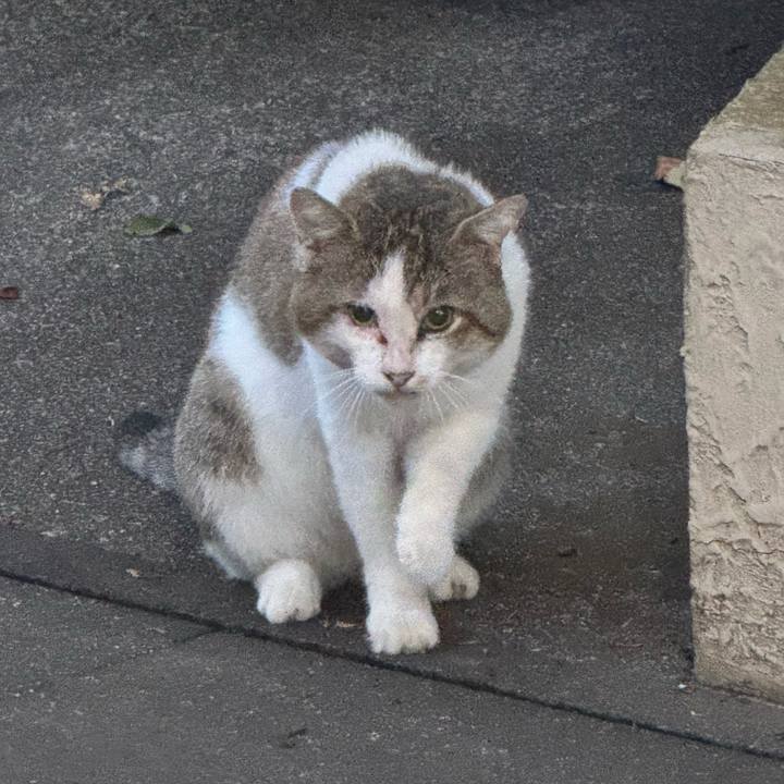 C399722e f28d 489b 821c ee42658dd4e2 1756347816407