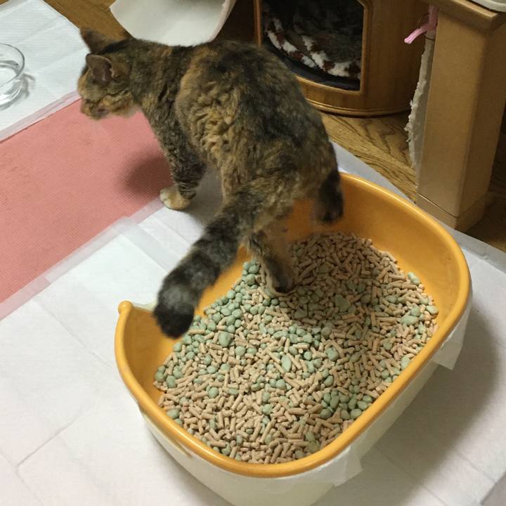 C399888e 01c8 44c6 9982 6920d7b8371c 1578048403655