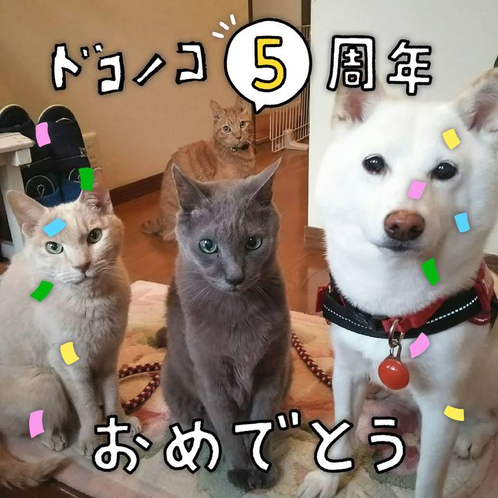 C399de16 c638 4dcb a5c3 cbe9c91ee421 1622887794181