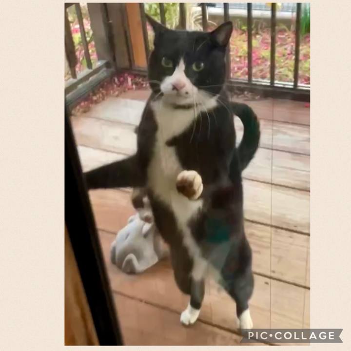 C39a26d9 7e69 4385 9d37 adf3adcb6a2c 1740216291263