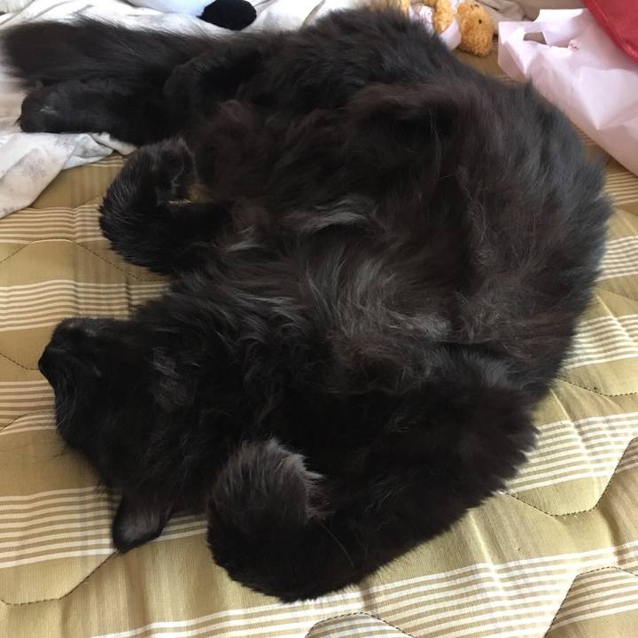 C39a352d 686d 4262 9af0 d628c9f91d6c 1561851377773