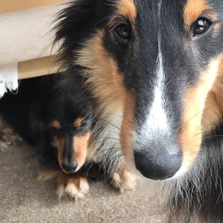 C39a9e36 483d 476e 86c3 a4616caadaab 1538865708986